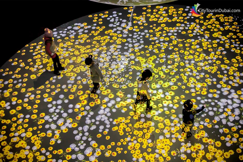 teamlab-phenomena-abu-dhabi-ticket-family-pack