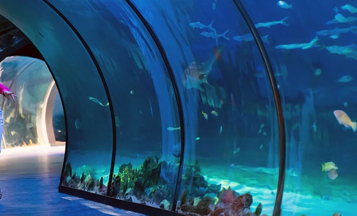the-national-aquarium