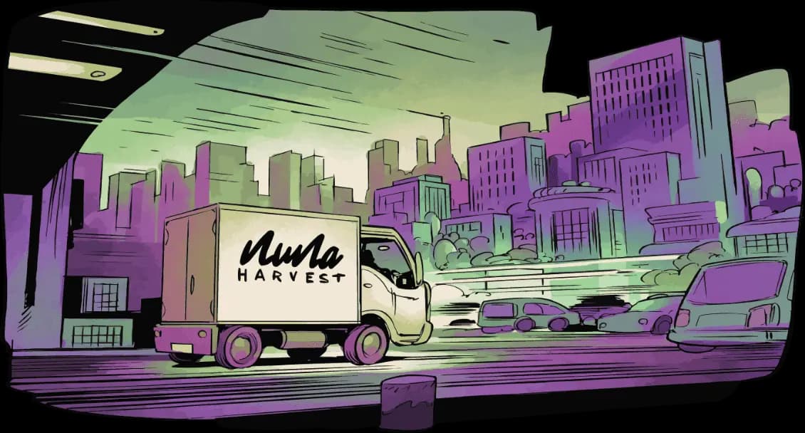 why-nuna-1