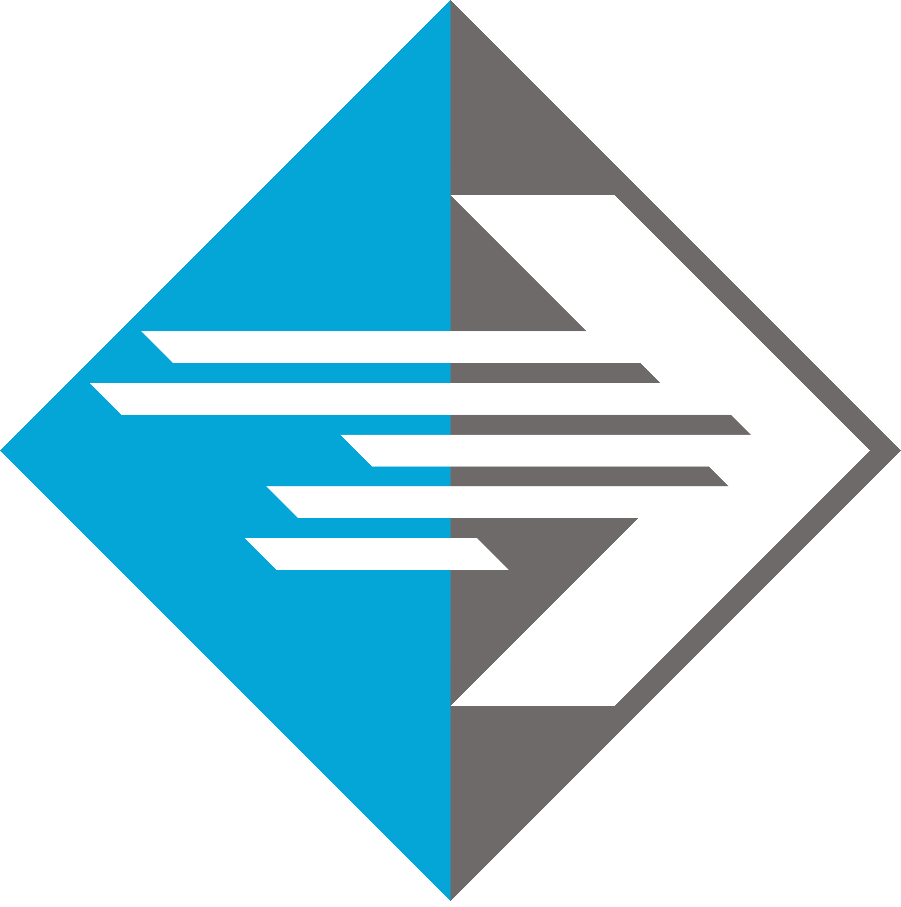 zwod_logo_only_color
