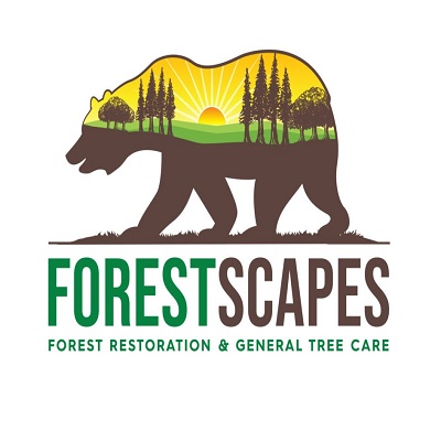 0.Tree-Service