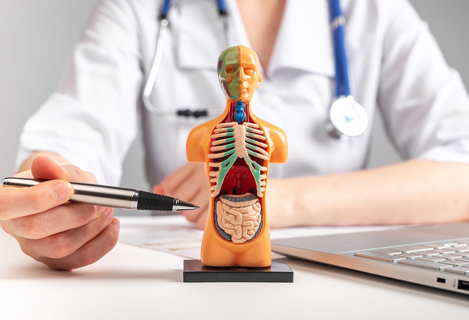 677265e6eac8c0434906e114_6769139dad492a6cbb5d39c1_Internal-Medicine-1