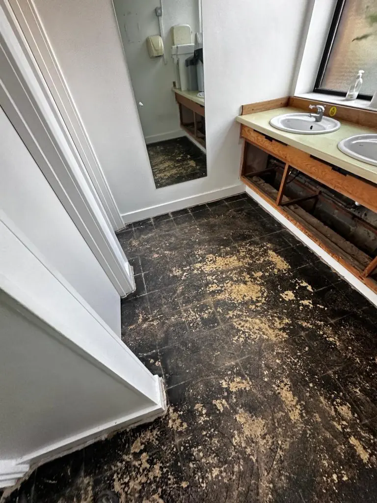 Asbestos-Floor-Tile-Removal-Essex-School-768×1024-1