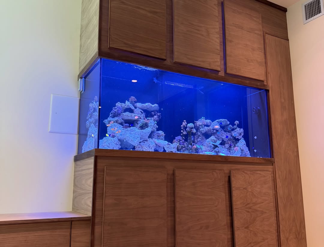 Custom-aquarium