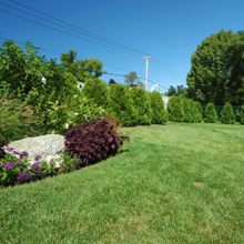 Landscaping2-Copy