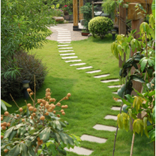 Landscaping3-2