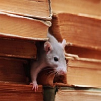PestControl1-2