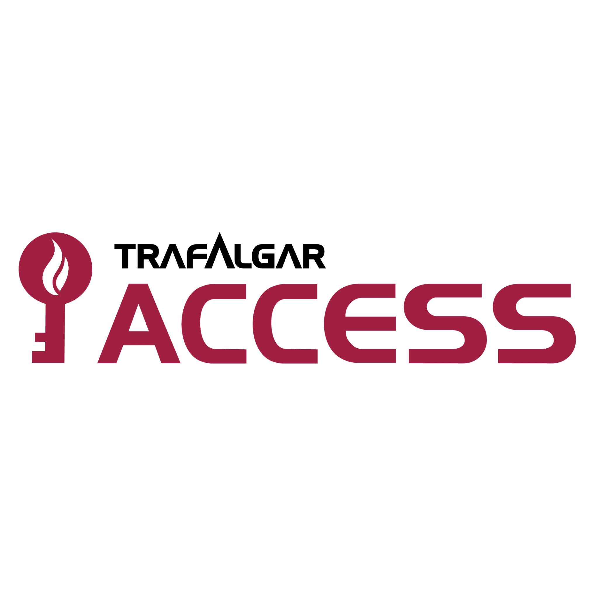 TAccess-Logo