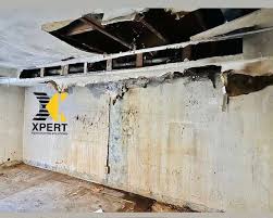 damage-solution-1