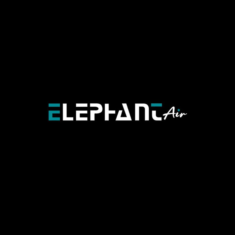 elephant-2