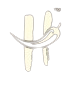 htlogo-removebg-preview