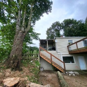 imgi_18_deadwood-removal-bellingham