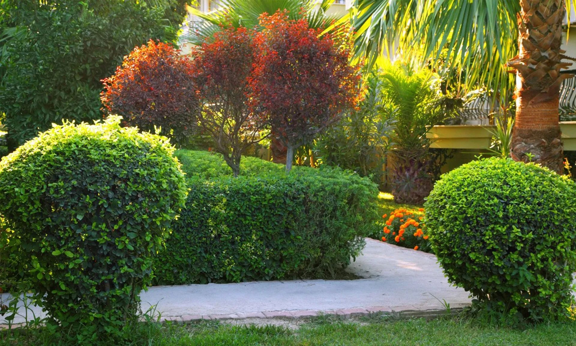 imgi_39_blue-sky-landscaping-shrub-1920w