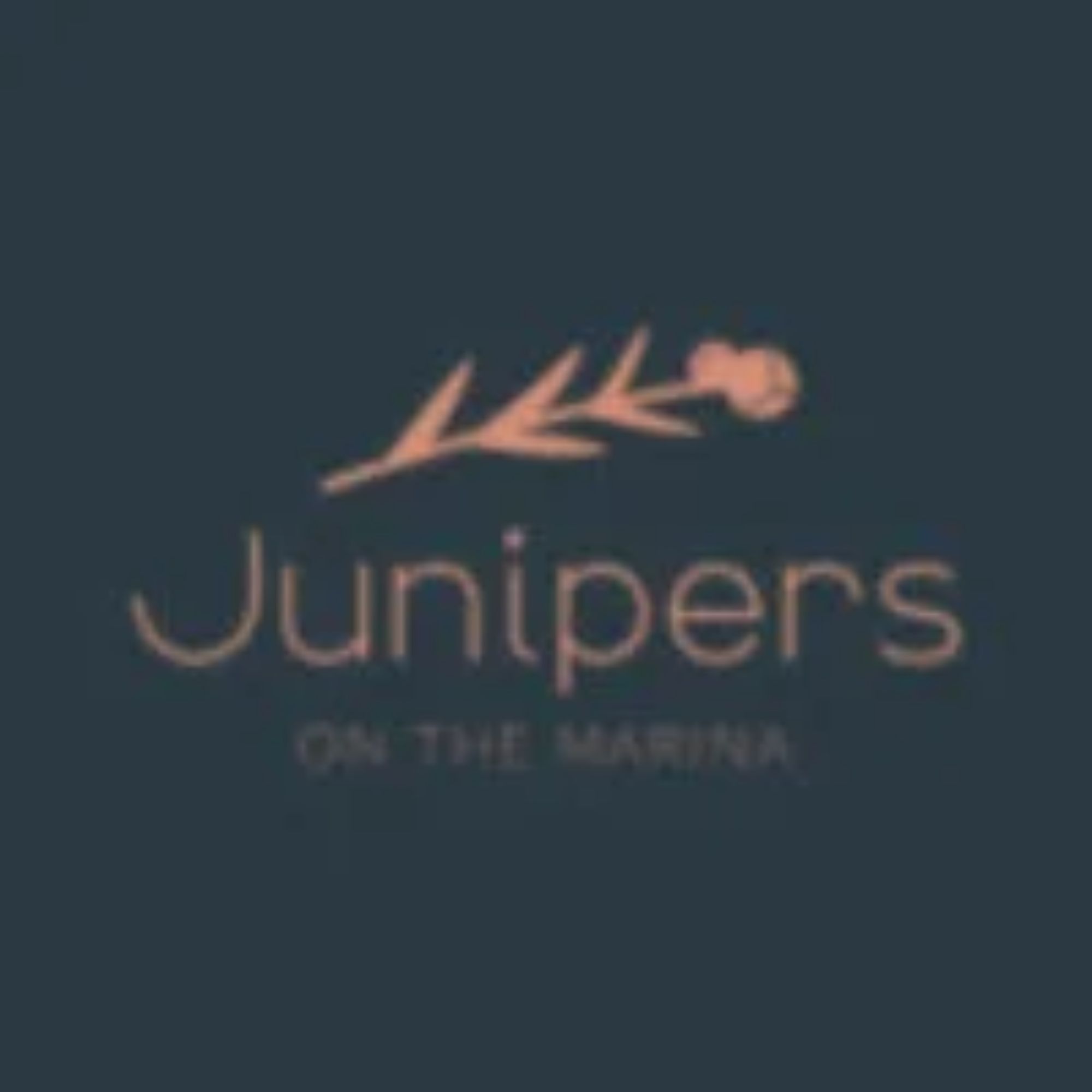 junipers