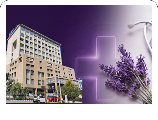 png-image-33