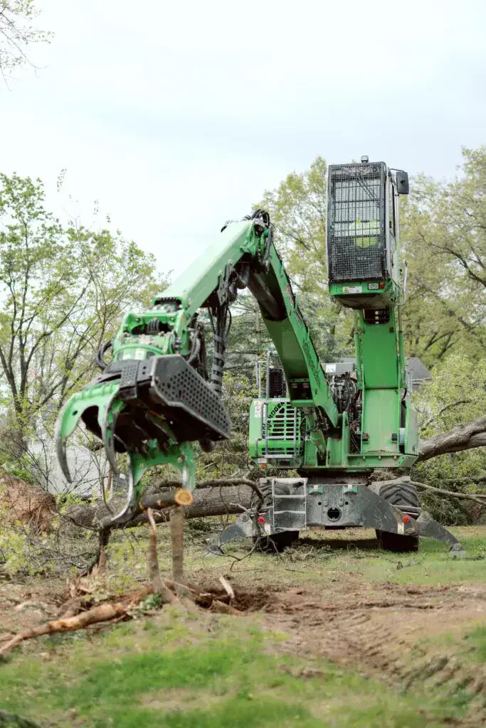 professional-tree-services-in-holly-mi