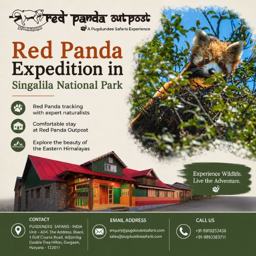 red-panda-expedition-