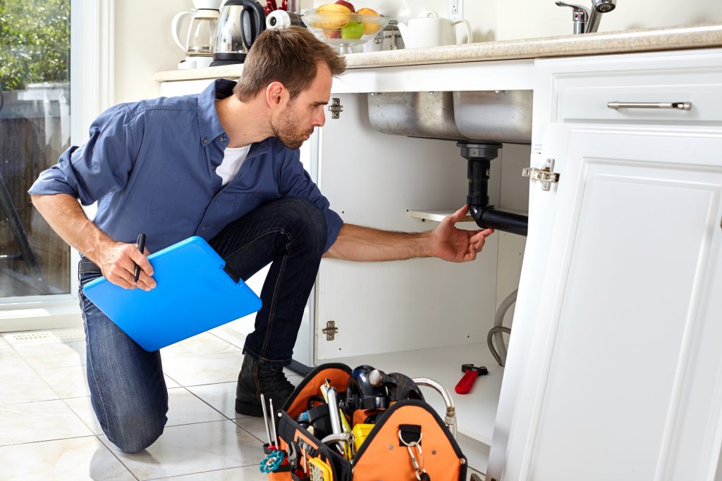 shutterstock_524040448-1024×683-1