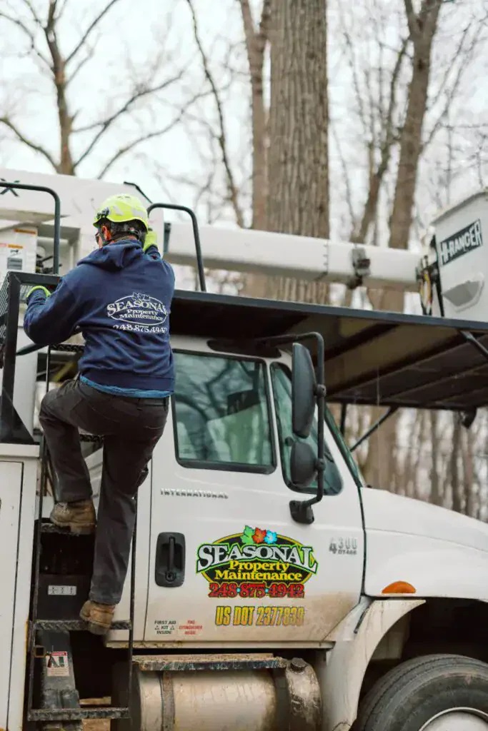 trusted-tree-services-in-holly-mi