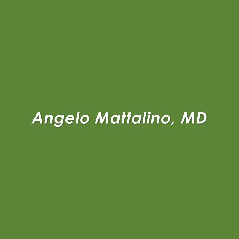 Angelo-logo-1