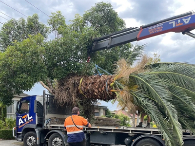 Cost-Of-Crane-Truck-Hire-Victoria