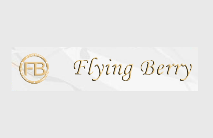 Flying-Logo