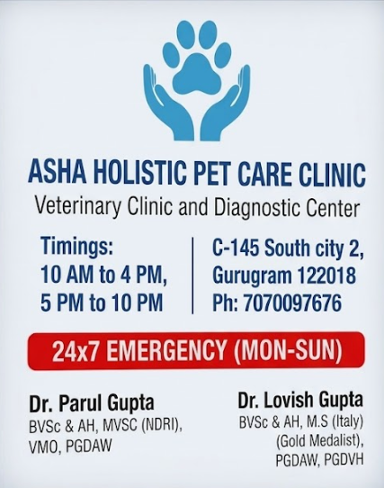 asha-holistic-pet-care-clinic-logo