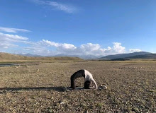 backbends