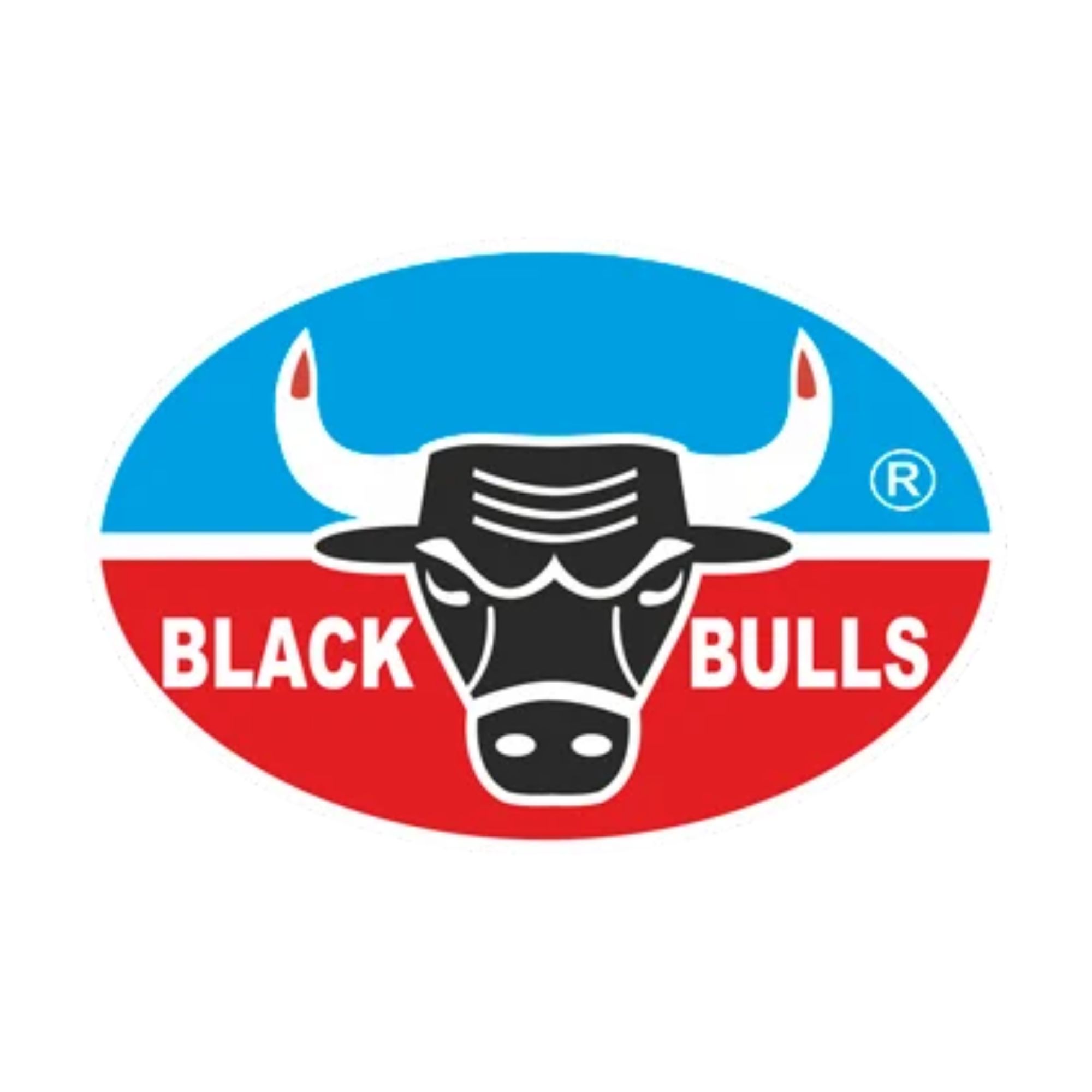 blackbullsgreaseandlubricants.ae-Logo