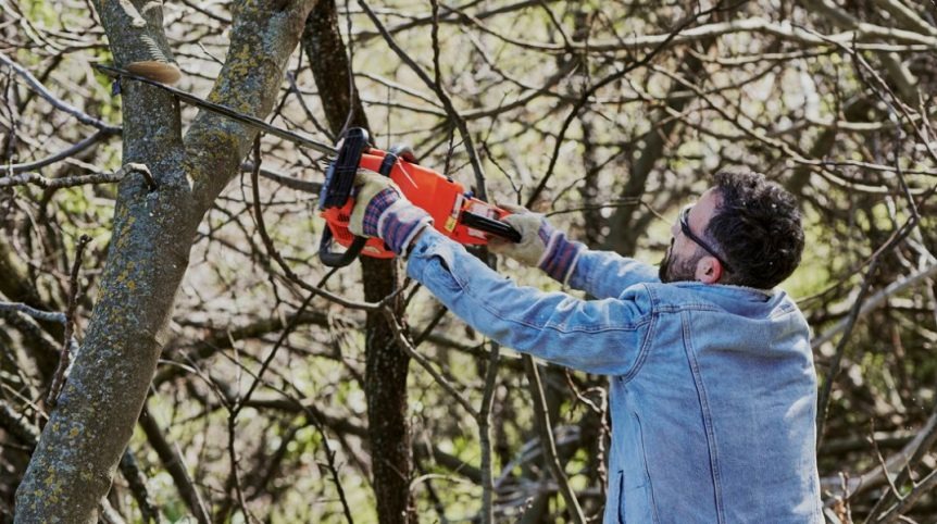 imgi_31_diy-tree-removal_-862×482-1