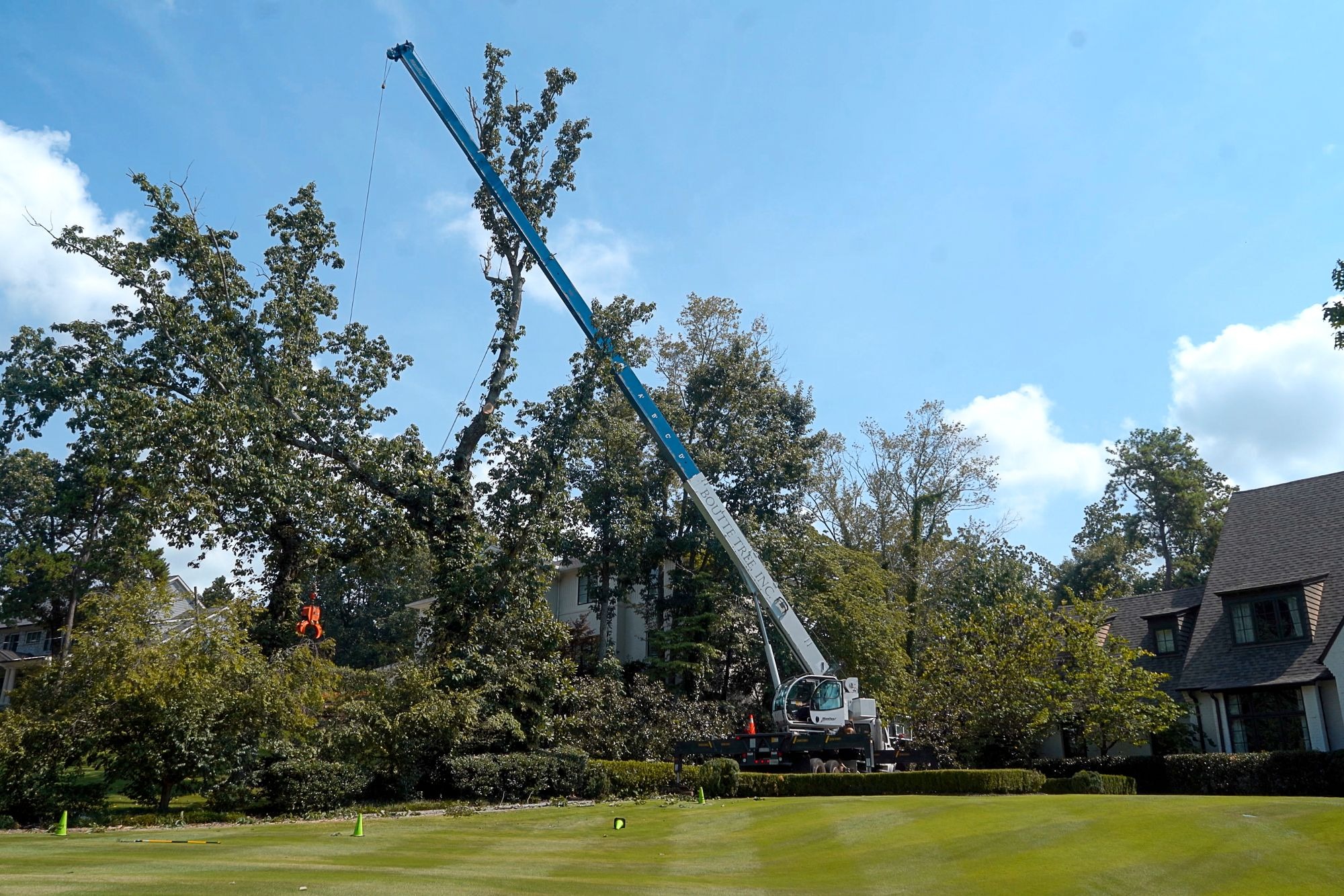 imgi_3_tree-removal-4