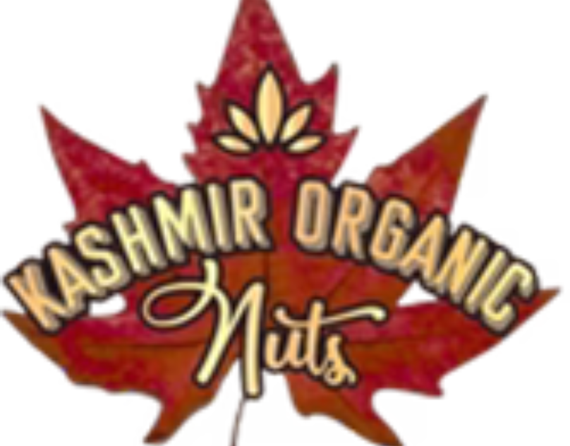 kashmir-logo
