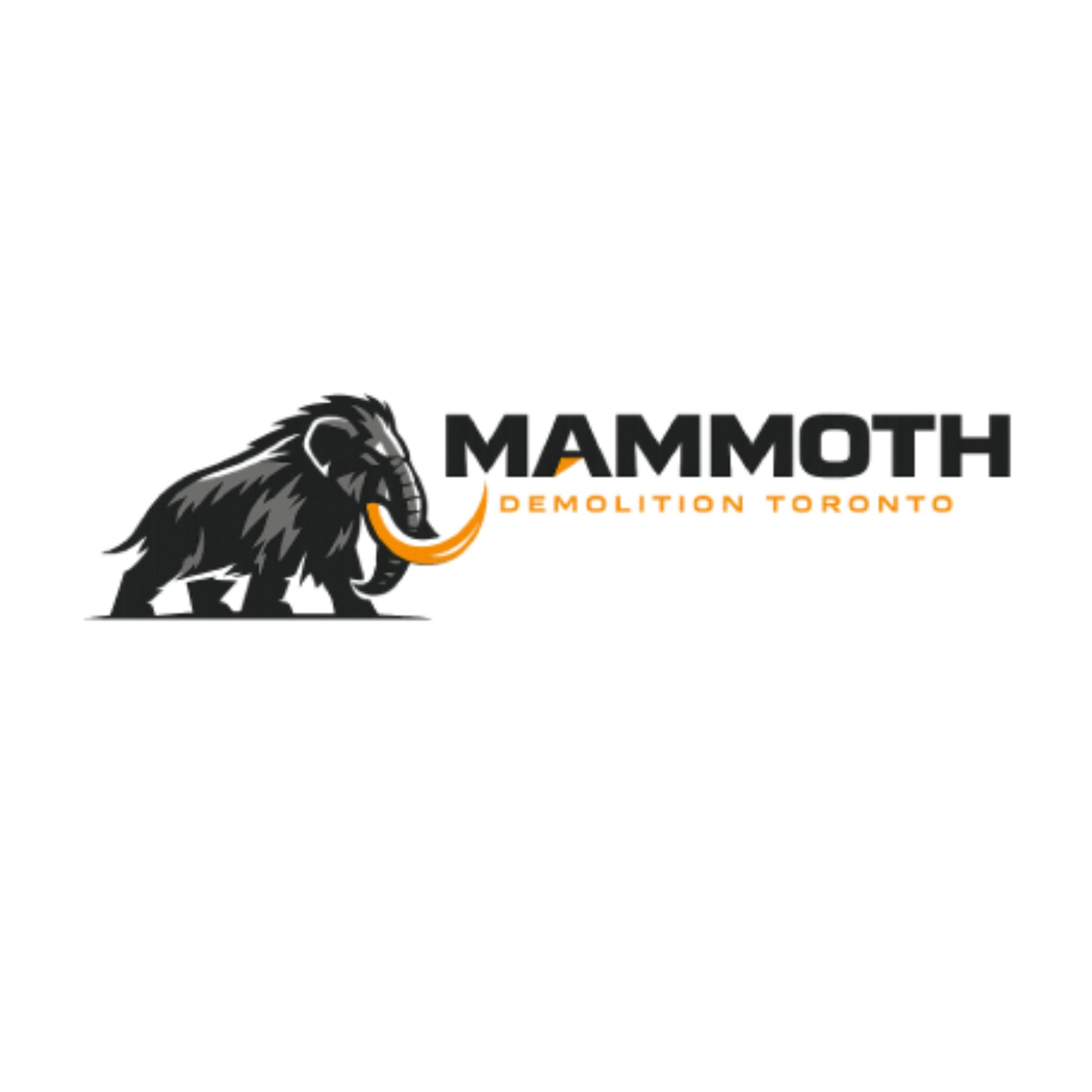 mam-moth-toronto-1