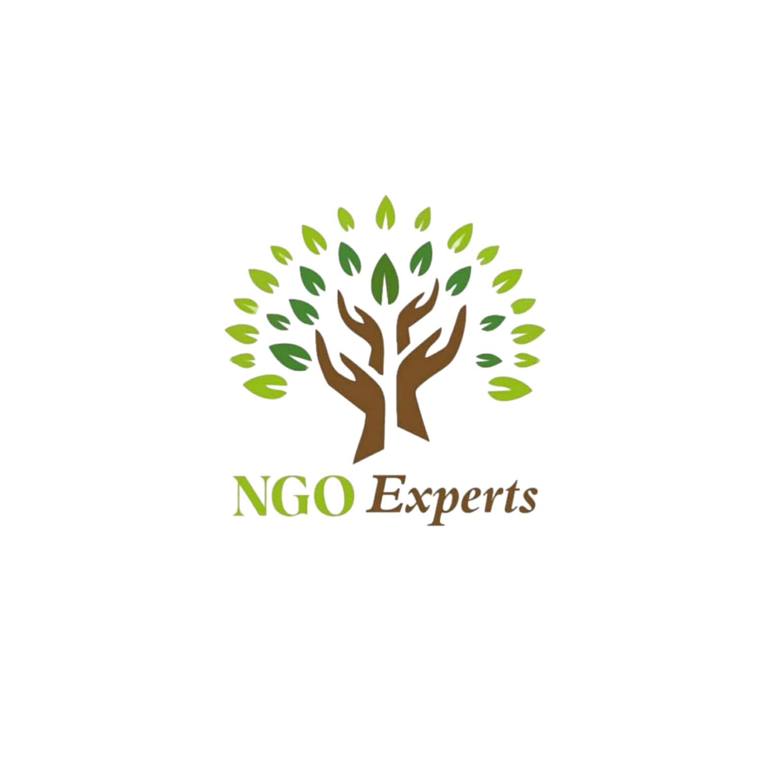 ngoexperts-logo-3