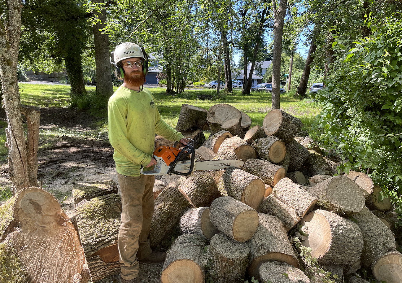 pdx-tree-service-image
