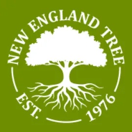 0.imgi_45_cropped-new-england-tree-logo-favicon-270×270-1