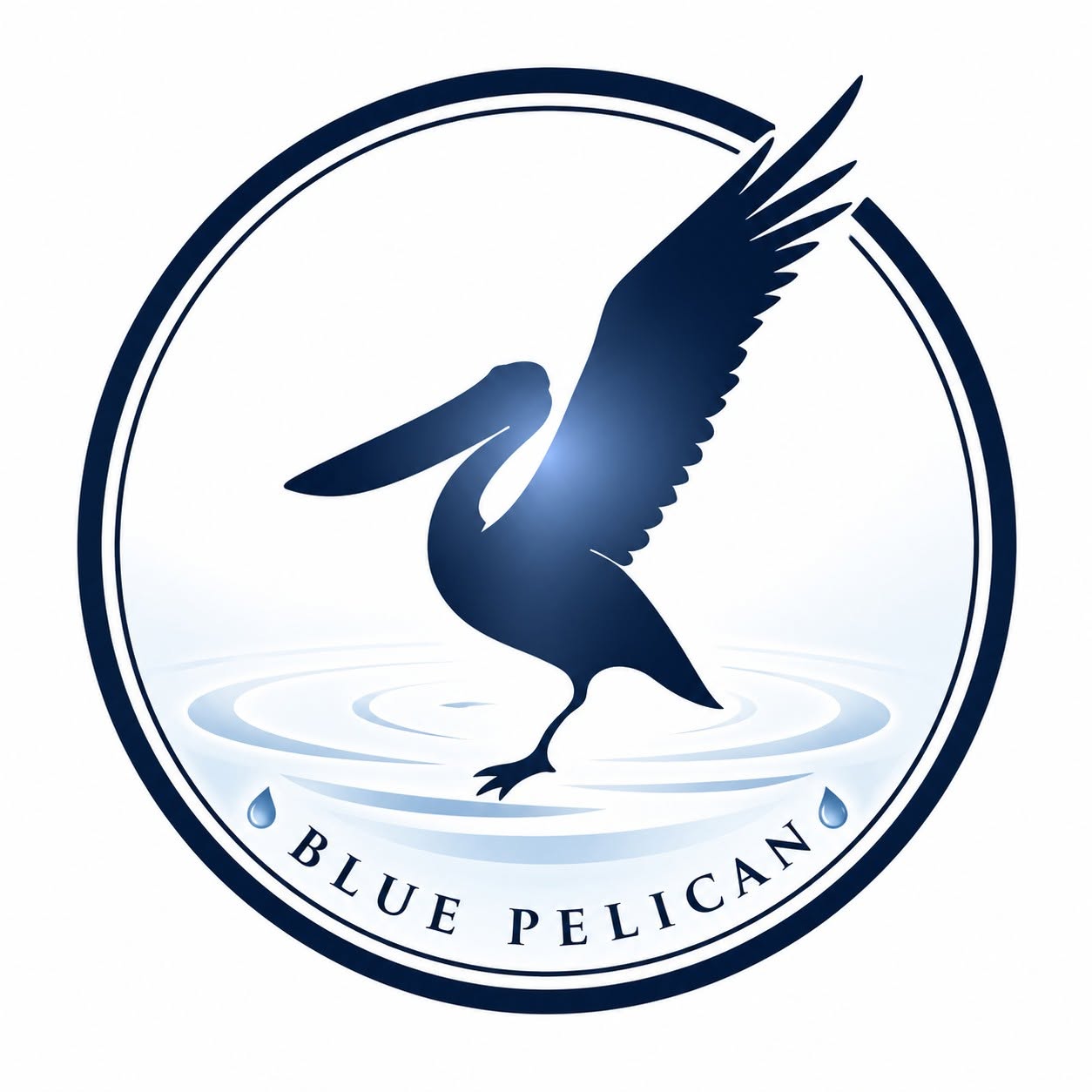 Blue-Pelican-Water-Solutions-1