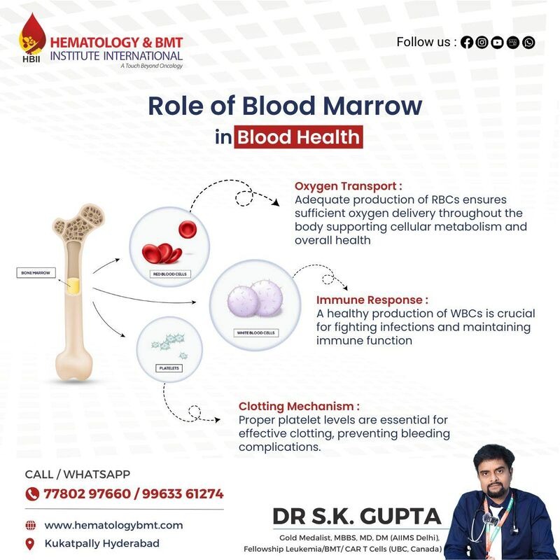 BoneMarrowTransplant-1