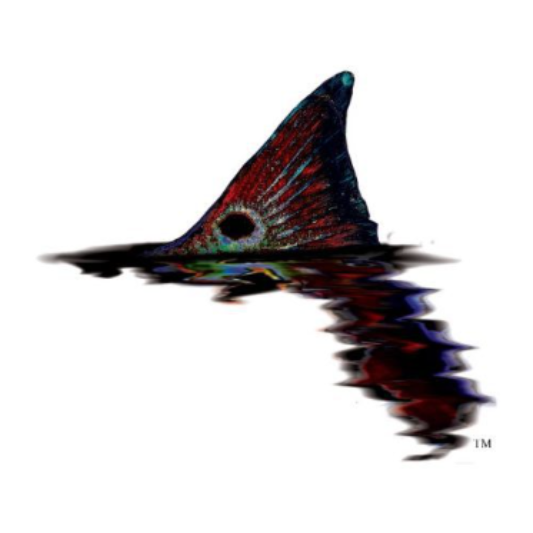 Fishing-Charter