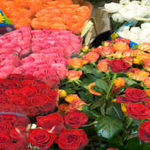 Florist4-2