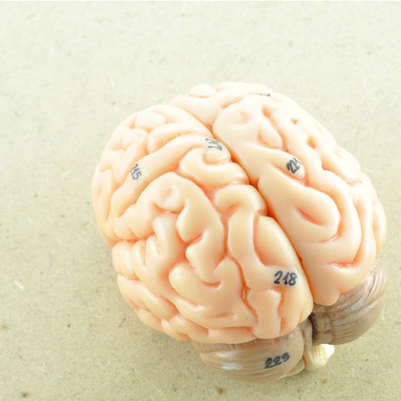 NeurologyNeurosurgeons1
