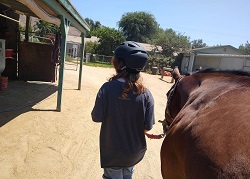 Photo_59341_1