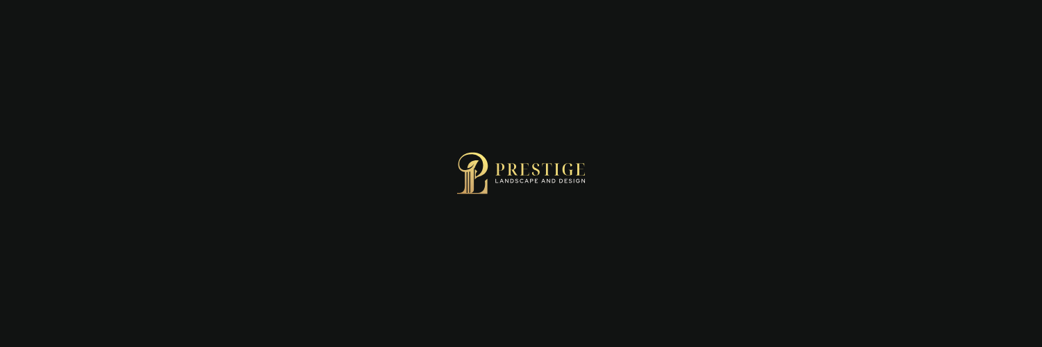Proyecto-nuevo