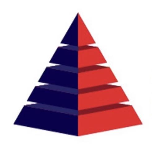 Succinnova-logo