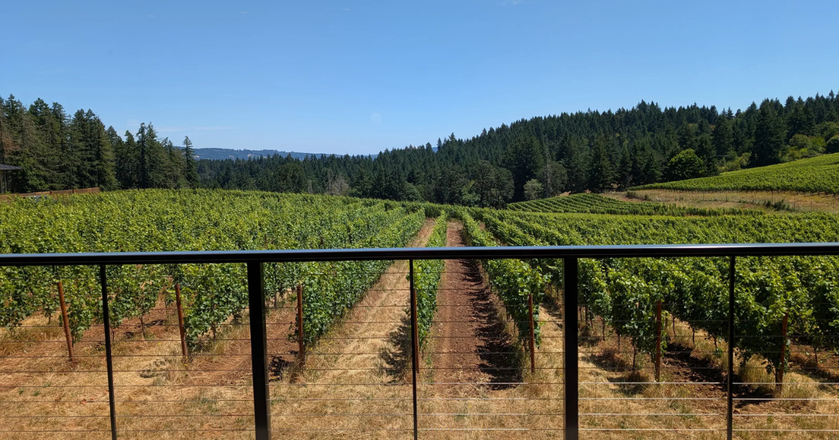Willamette-Valley-wineyard-Ambar-Estate