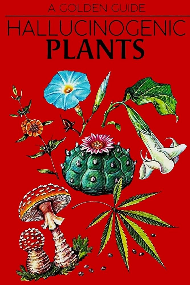 about-Hallucinogenics-1