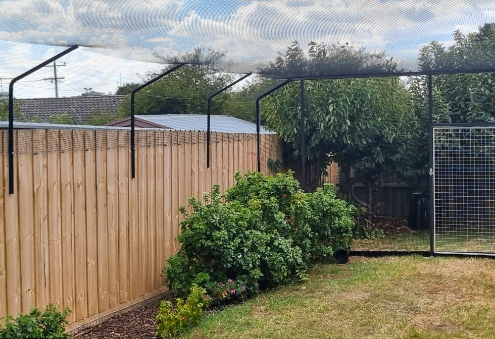 backyard-cat-netting