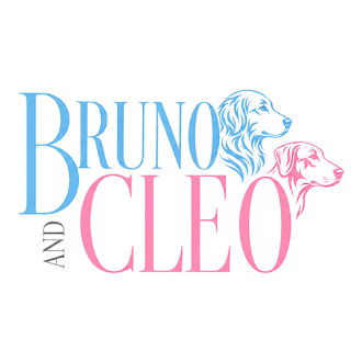 brunoandcleologo