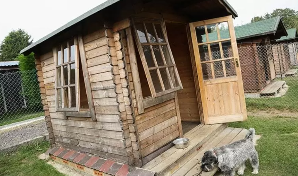 dog-kennel