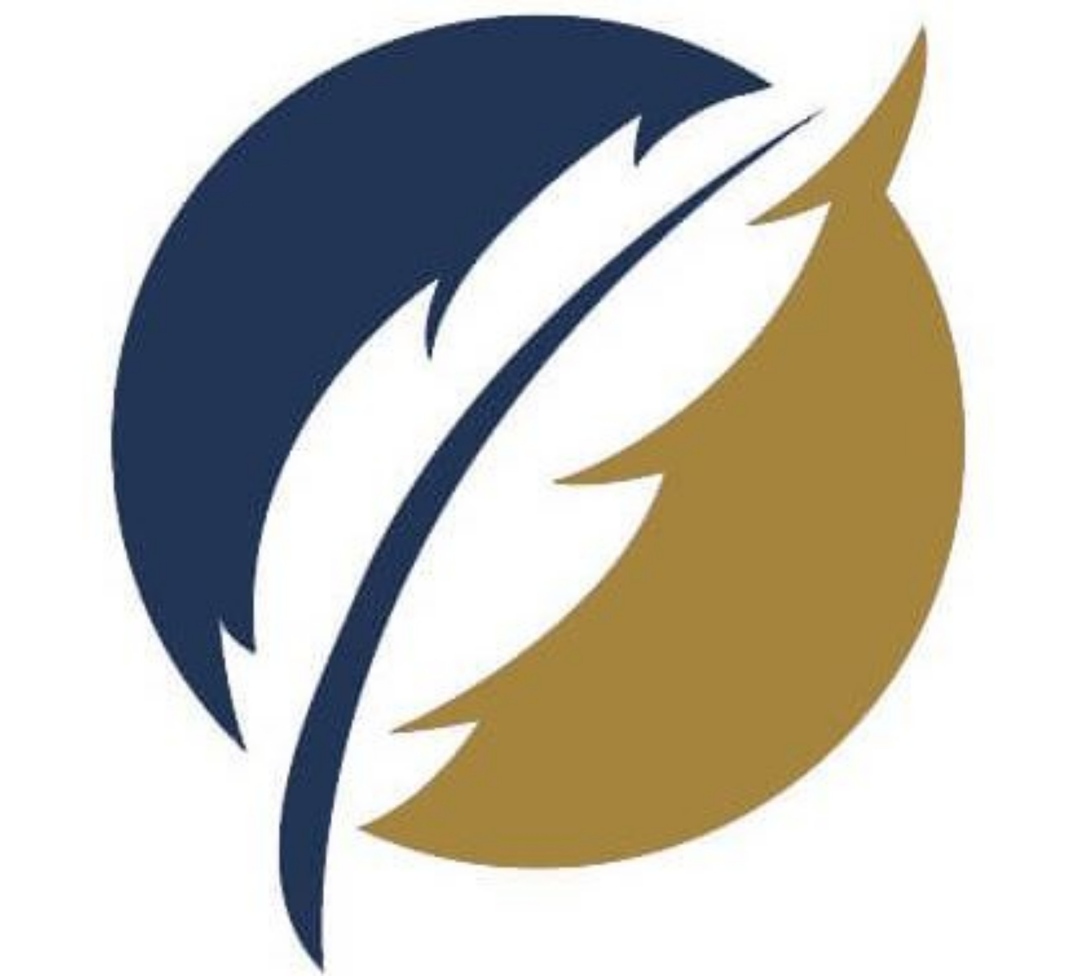 dubaicriminallayers-logo-e1708936281125-1